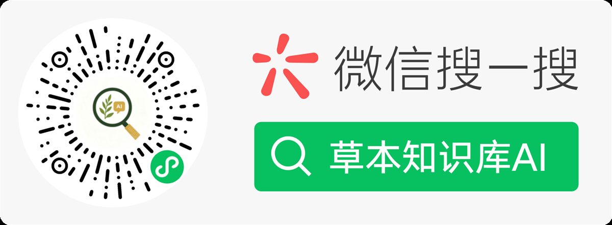 WeChat Mini Program QR Code